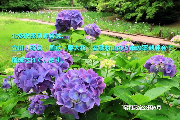 昭和記念公園6月 昭和記念公園6月